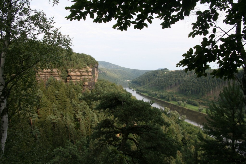 Aussicht auf die Elbe 1