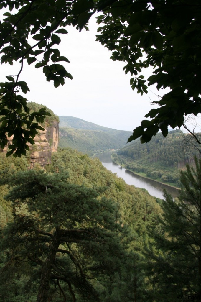 Aussicht auf die Elbe 2