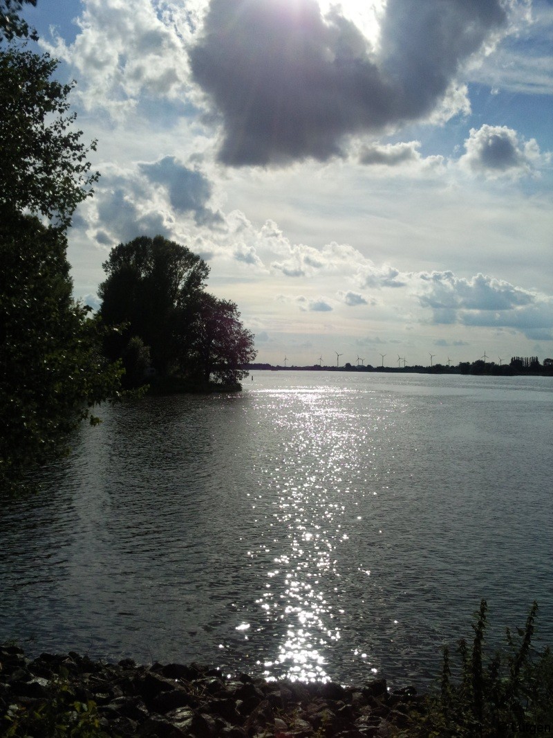 Elbeaussicht Stover Strand