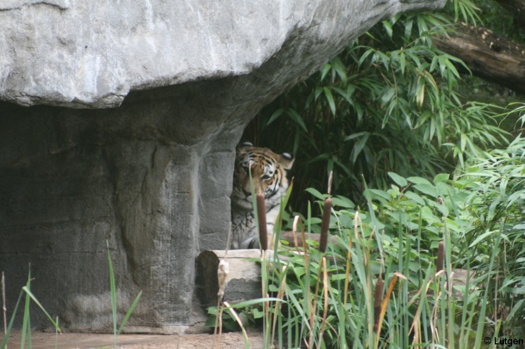 Tierpark Hagenbeck 2