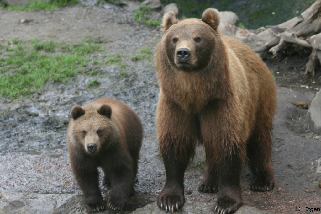 Tierpark Hagenbeck 5