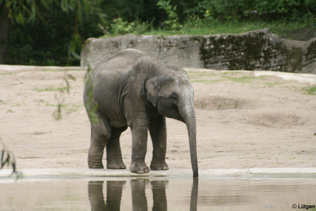 Besuch im Tierpark Hagenbeck