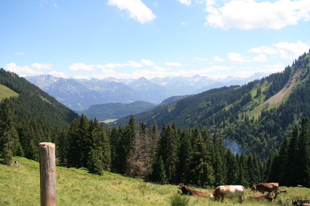 Allgäu 1