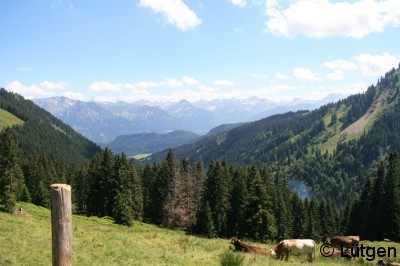 Allgäu 1