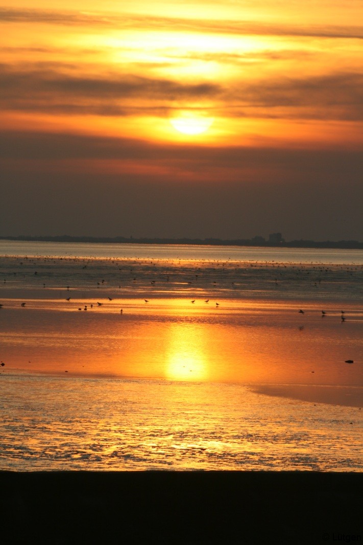 Sonnenuntergänge am Meer