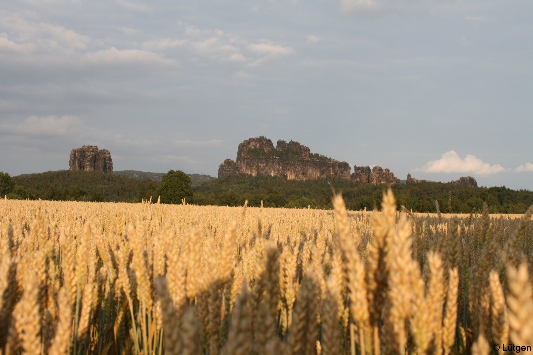 Spaziergang Schrammsteine