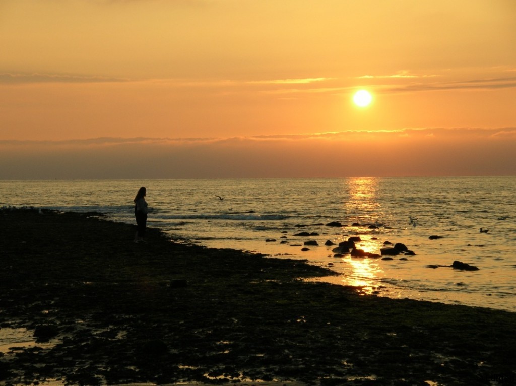 Nordseeküste Niederlande