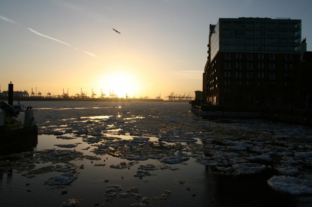 Blick auf die Elbe im Eisgang