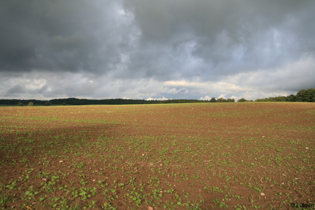 Feldberger Seenlandschaft