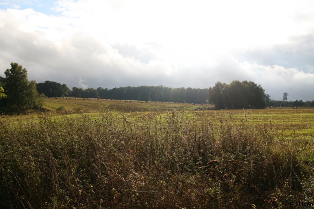 Feldberger Seenlandschaft