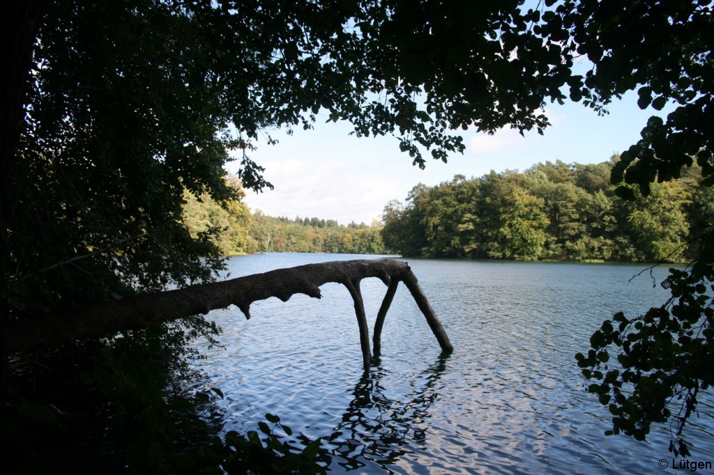 Feldberger Seenlandschaft