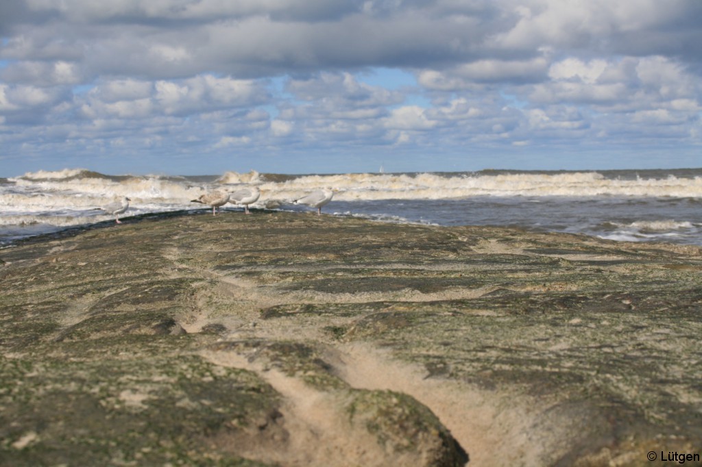 Norderney