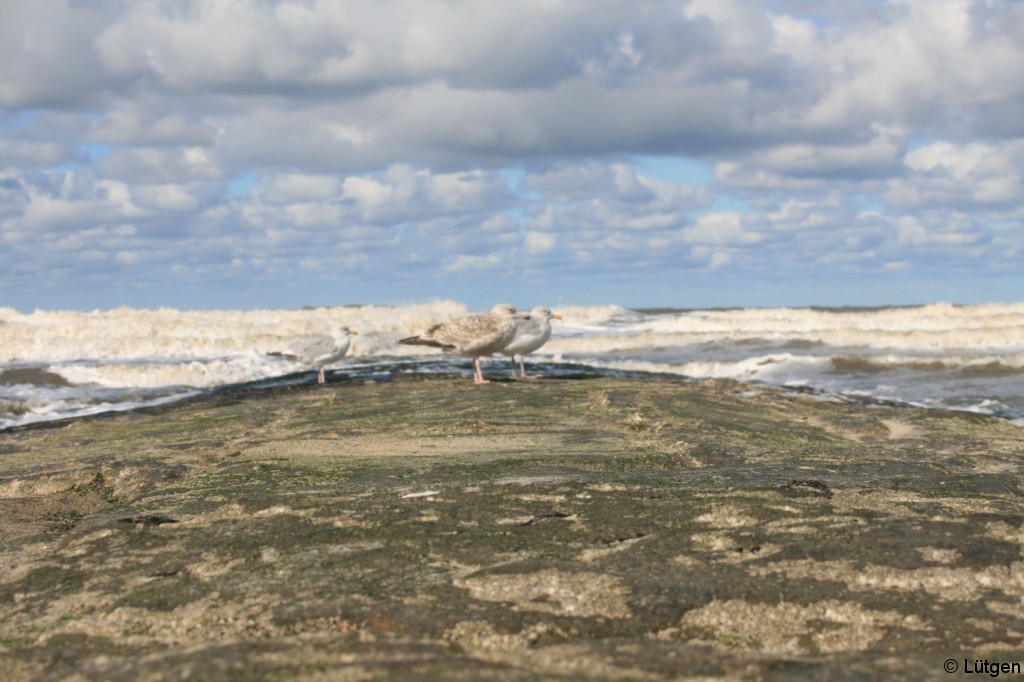 Norderney