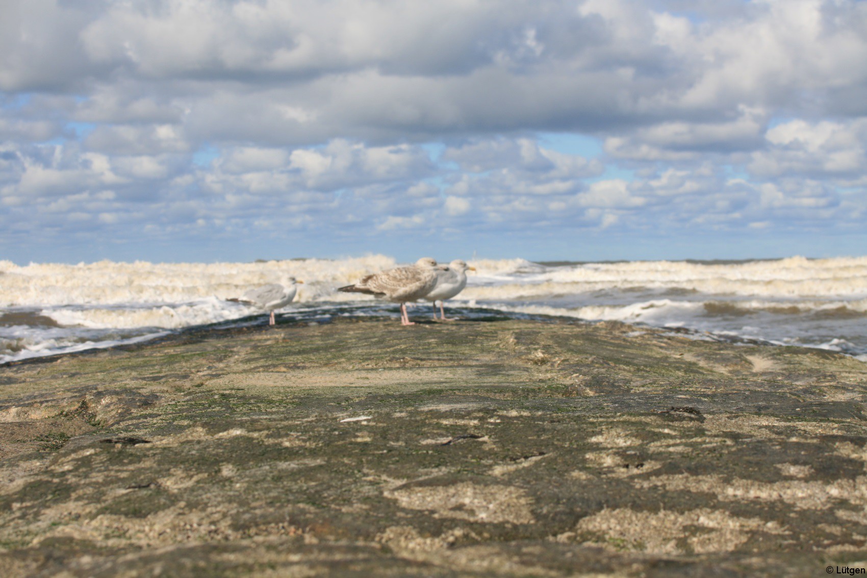 Norderney