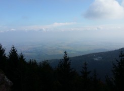 Ballon d’Alsace (Elsässer Belchen)