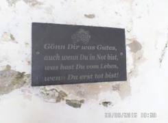 Pünderich / Zell