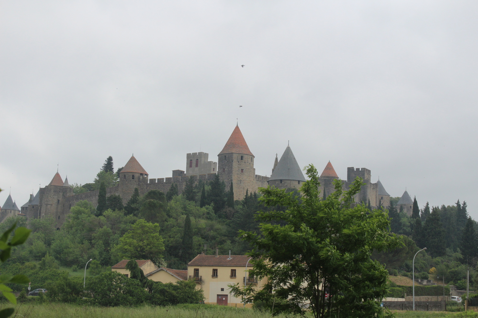 Carcasonne